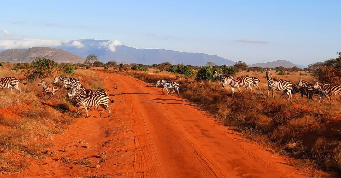 Aktive Safaris | Kenya safaris, East Africa Tour Operators, Mombasa Safaris, Nairobi Safaris