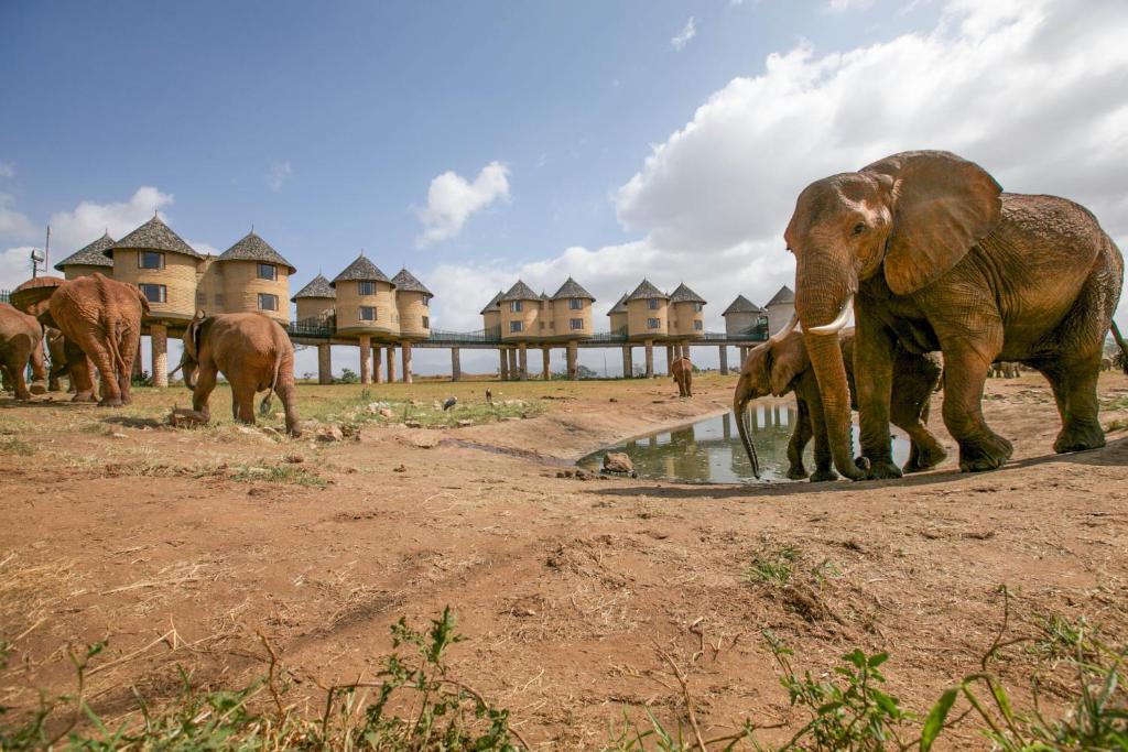 Aktive Safaris | Kenya safaris, East Africa Tour Operators, Mombasa Safaris, Nairobi Safaris