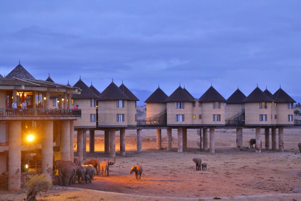 Aktive Safaris | Kenya safaris, East Africa Tour Operators, Mombasa Safaris, Nairobi Safaris