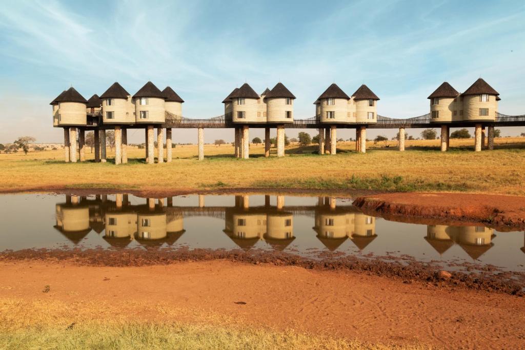 Aktive Safaris | Kenya safaris, East Africa Tour Operators, Mombasa Safaris, Nairobi Safaris