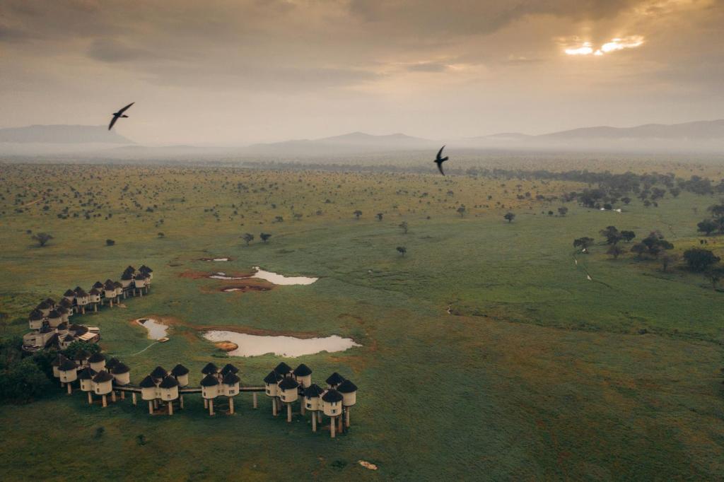 Aktive Safaris | Kenya safaris, East Africa Tour Operators, Mombasa Safaris, Nairobi Safaris