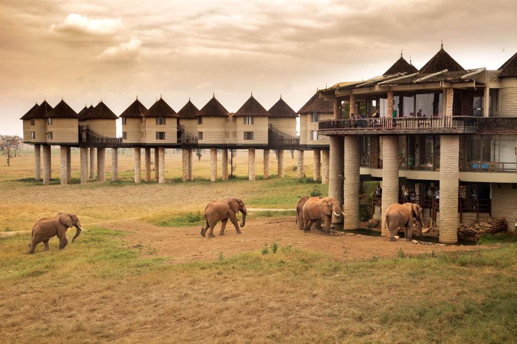Aktive Safaris | Kenya safaris, East Africa Tour Operators, Mombasa Safaris, Nairobi Safaris