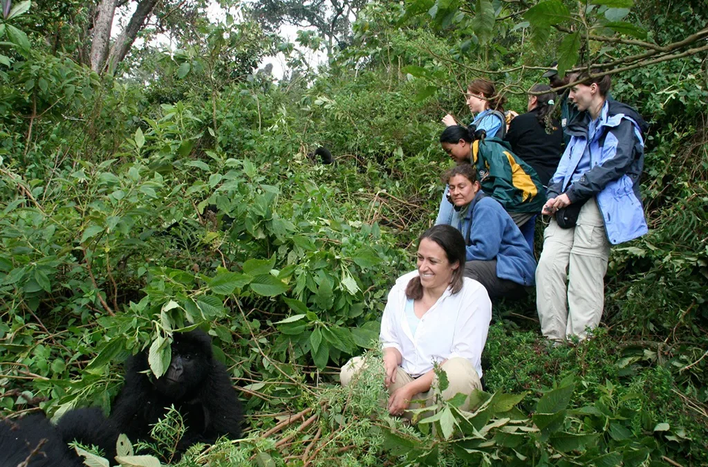 Aktive Safaris | Kenya safaris, East Africa Tour Operators, Mombasa Safaris, Nairobi Safaris