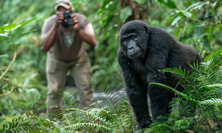 Aktive Safaris | Kenya safaris, East Africa Tour Operators, Mombasa Safaris, Nairobi Safaris