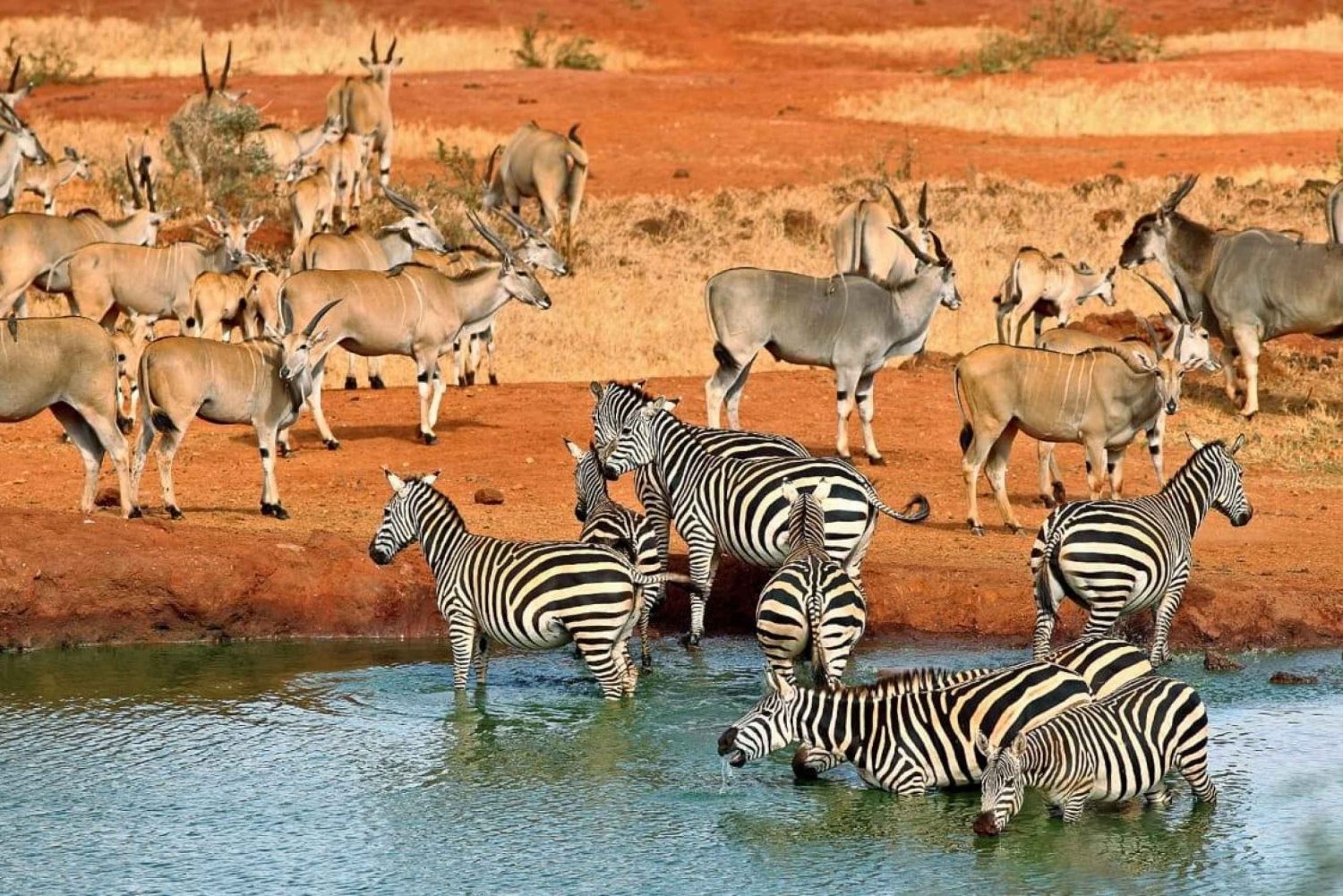 Aktive Safaris | Kenya safaris, East Africa Tour Operators, Mombasa Safaris, Nairobi Safaris
