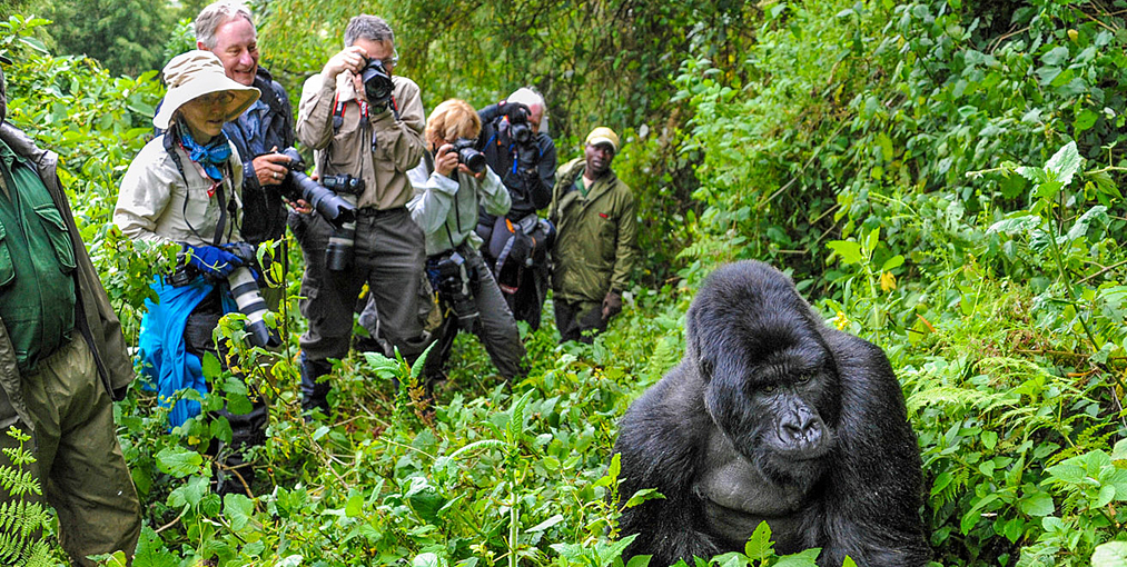Aktive Safaris | Kenya safaris, East Africa Tour Operators, Mombasa Safaris, Nairobi Safaris