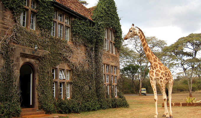 Aktive Safaris | Kenya safaris, East Africa Tour Operators, Mombasa Safaris, Nairobi Safaris