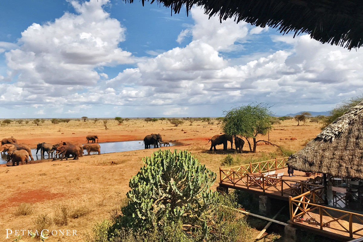 Aktive Safaris | Kenya safaris, East Africa Tour Operators, Mombasa Safaris, Nairobi Safaris