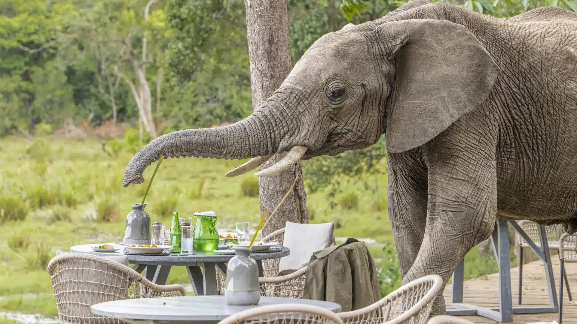Aktive Safaris | Kenya safaris, East Africa Tour Operators, Mombasa Safaris, Nairobi Safaris