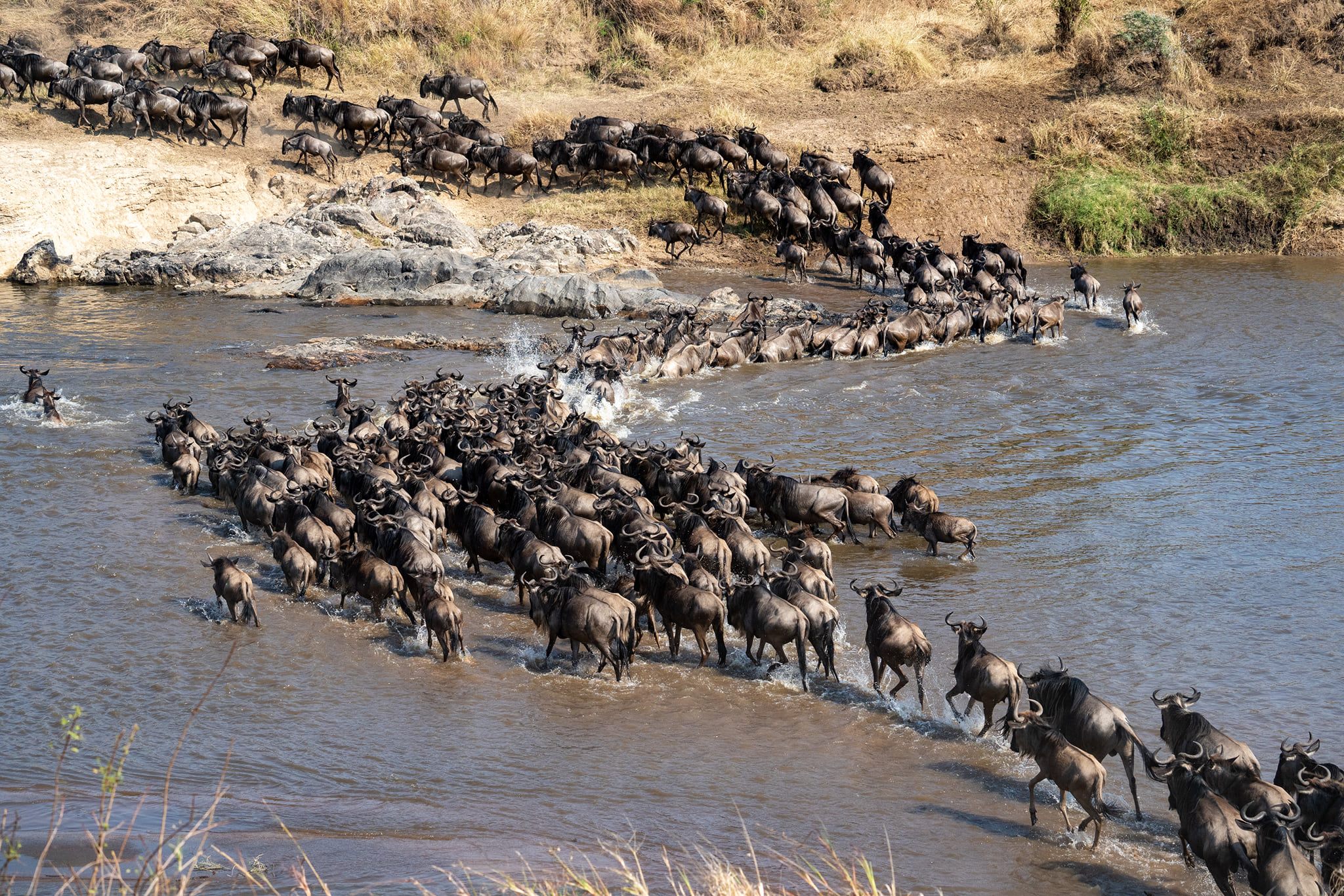 Aktive Safaris | Kenya safaris, East Africa Tour Operators, Mombasa Safaris, Nairobi Safaris