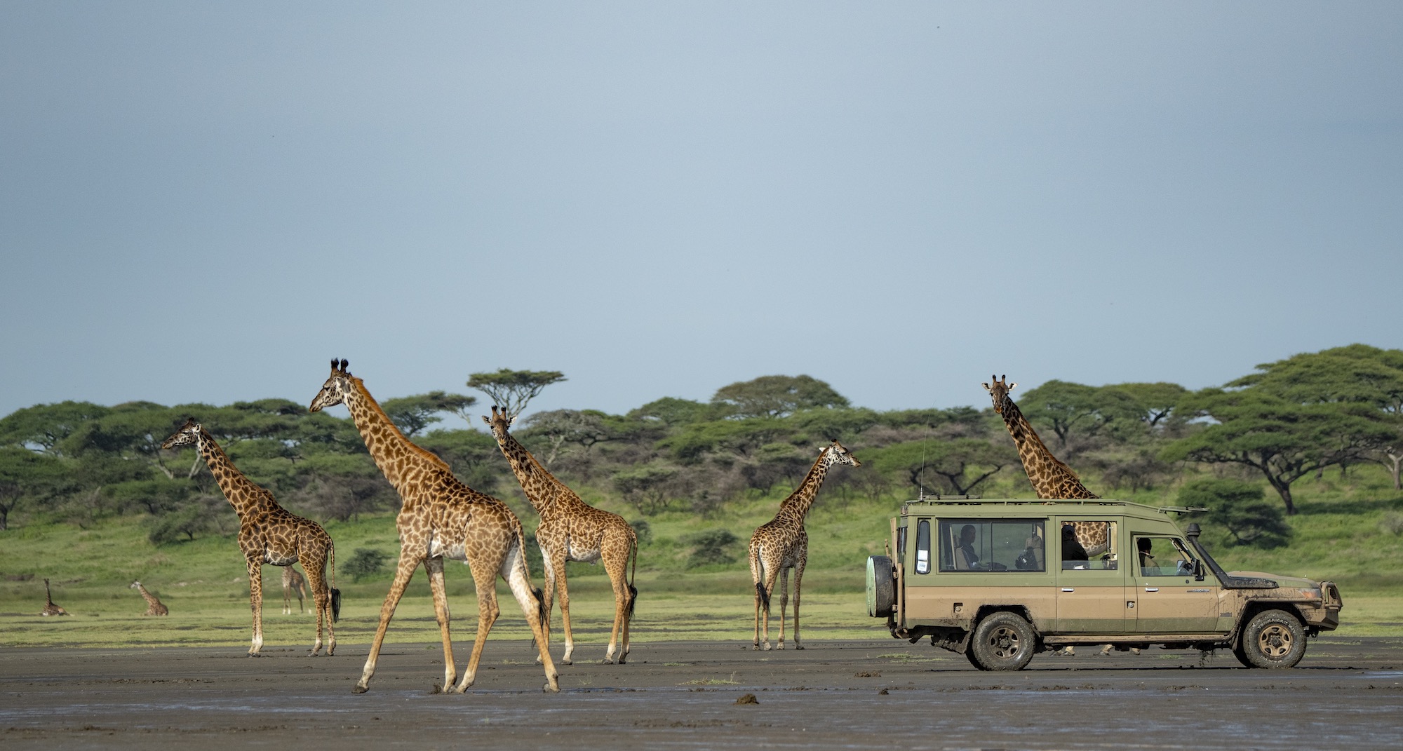 Aktive Safaris | Kenya safaris, East Africa Tour Operators, Mombasa Safaris, Nairobi Safaris