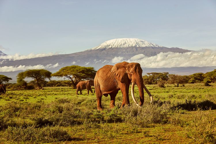 Aktive Safaris | Kenya safaris, East Africa Tour Operators, Mombasa Safaris, Nairobi Safaris