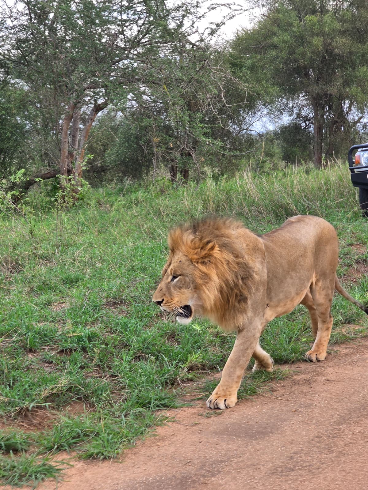 Aktive Safaris | Kenya safaris, East Africa Tour Operators, Mombasa Safaris, Nairobi Safaris
