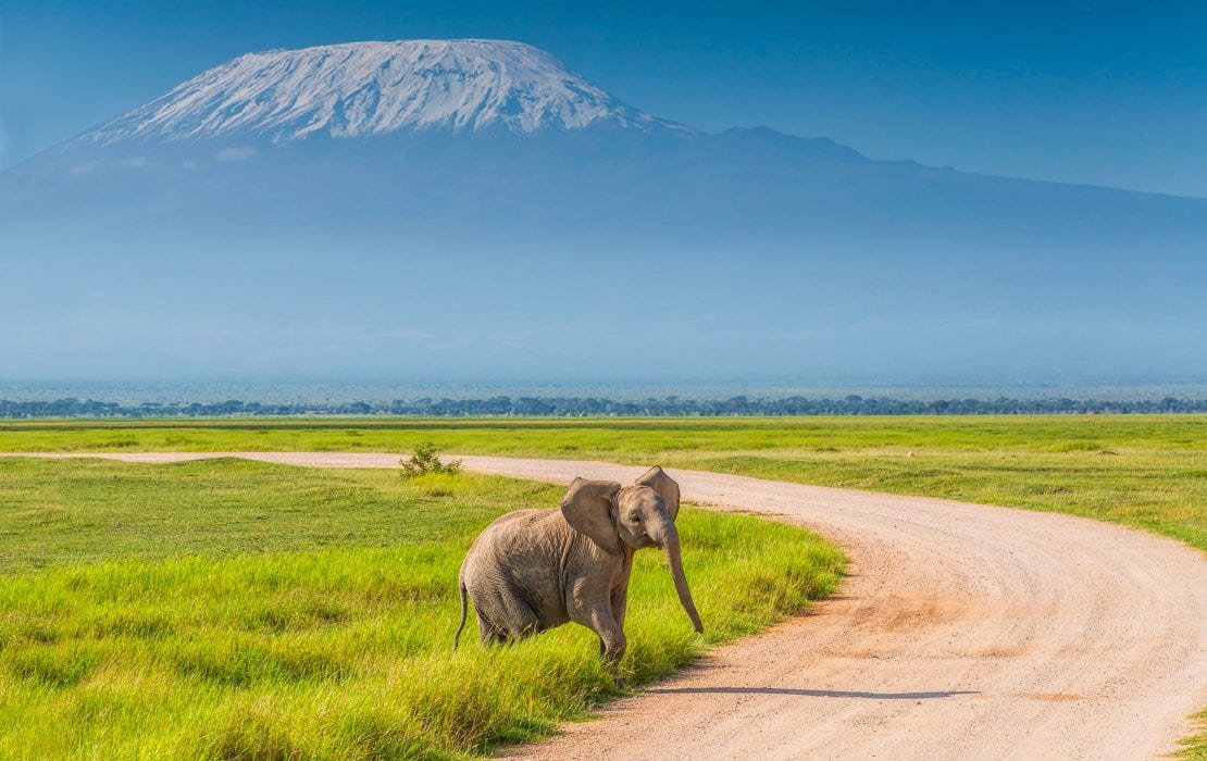 Aktive Safaris | Kenya safaris, East Africa Tour Operators, Mombasa Safaris, Nairobi Safaris