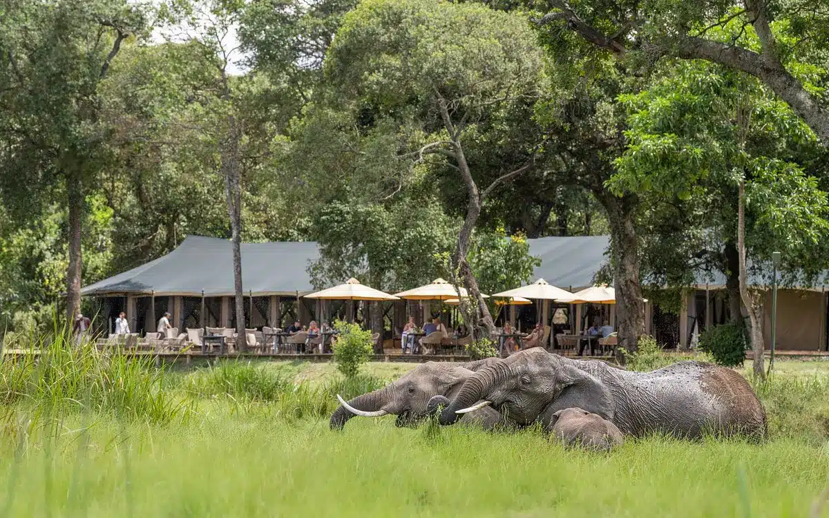 Aktive Safaris | Kenya safaris, East Africa Tour Operators, Mombasa Safaris, Nairobi Safaris
