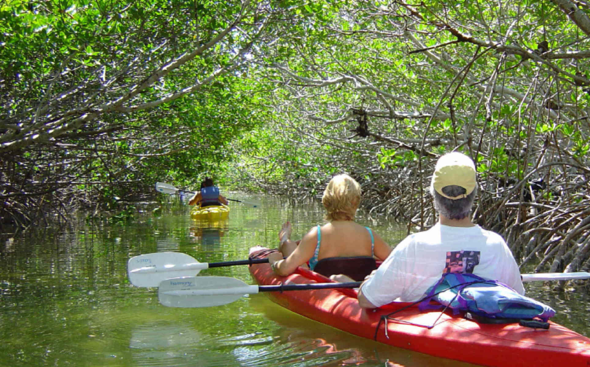 Aktive Safaris | Kenya safaris, East Africa Tour Operators, Mombasa Safaris, Nairobi Safaris