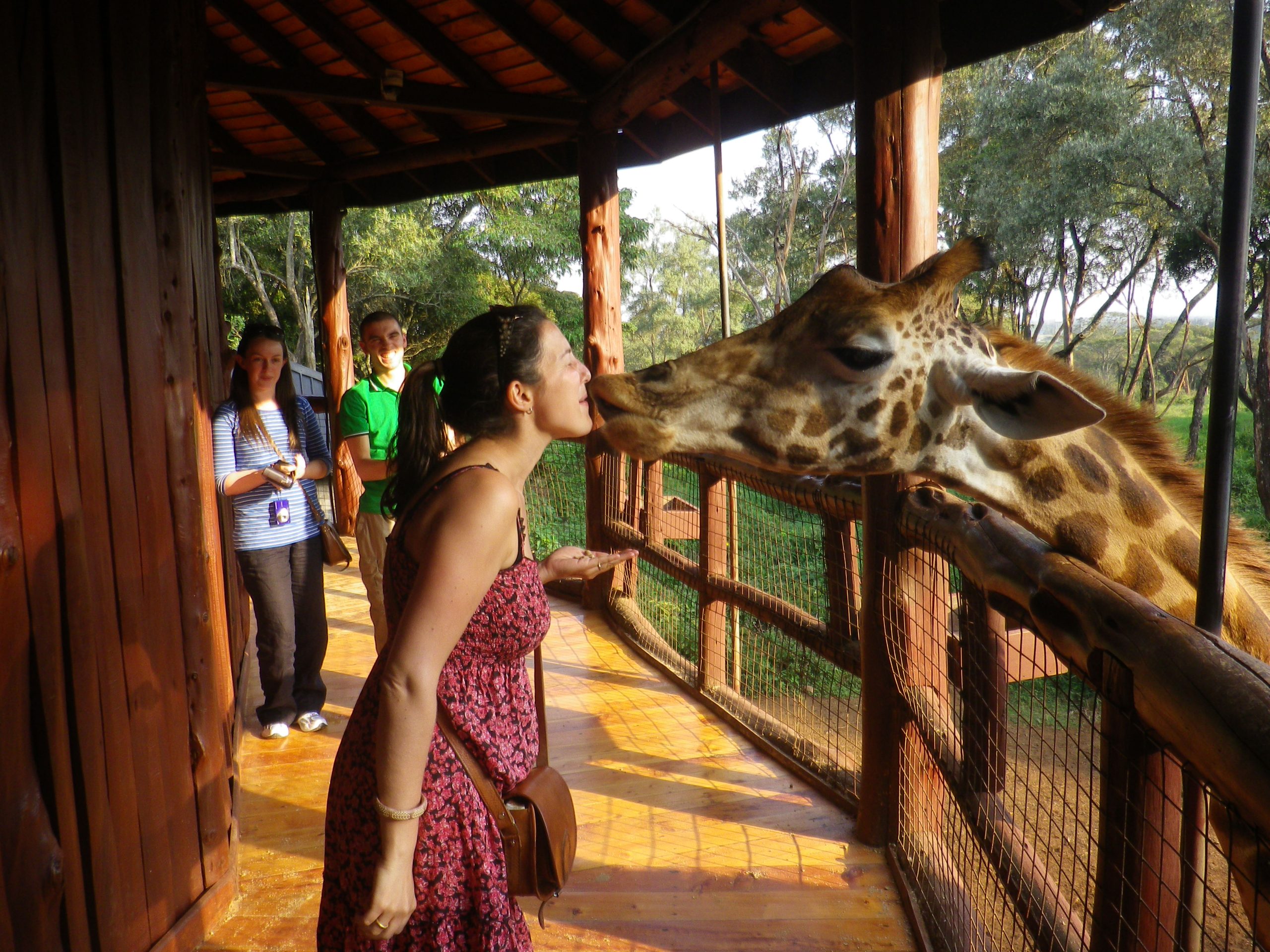 Aktive Safaris | Kenya safaris, East Africa Tour Operators, Mombasa Safaris, Nairobi Safaris