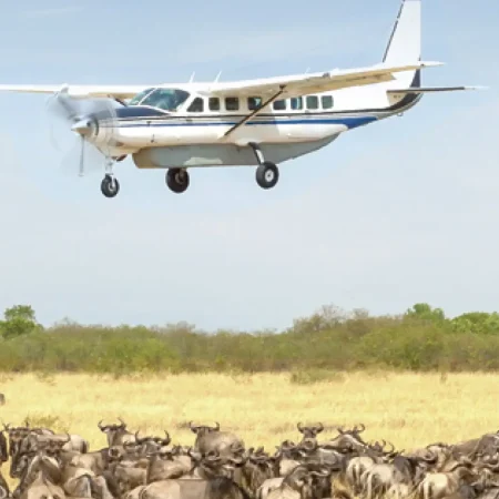kenya-safari-tours.jpg-10.jpg