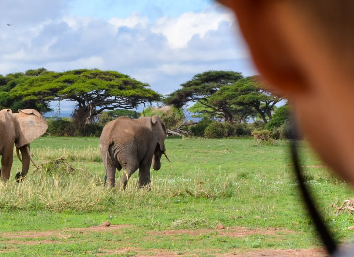 Aktive Safaris | Kenya safaris, East Africa Tour Operators, Mombasa Safaris, Nairobi Safaris