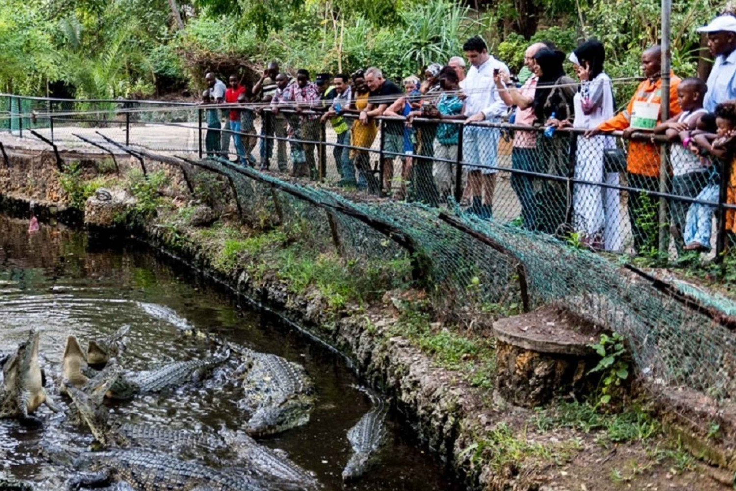 Aktive Safaris | Kenya safaris, East Africa Tour Operators, Mombasa Safaris, Nairobi Safaris