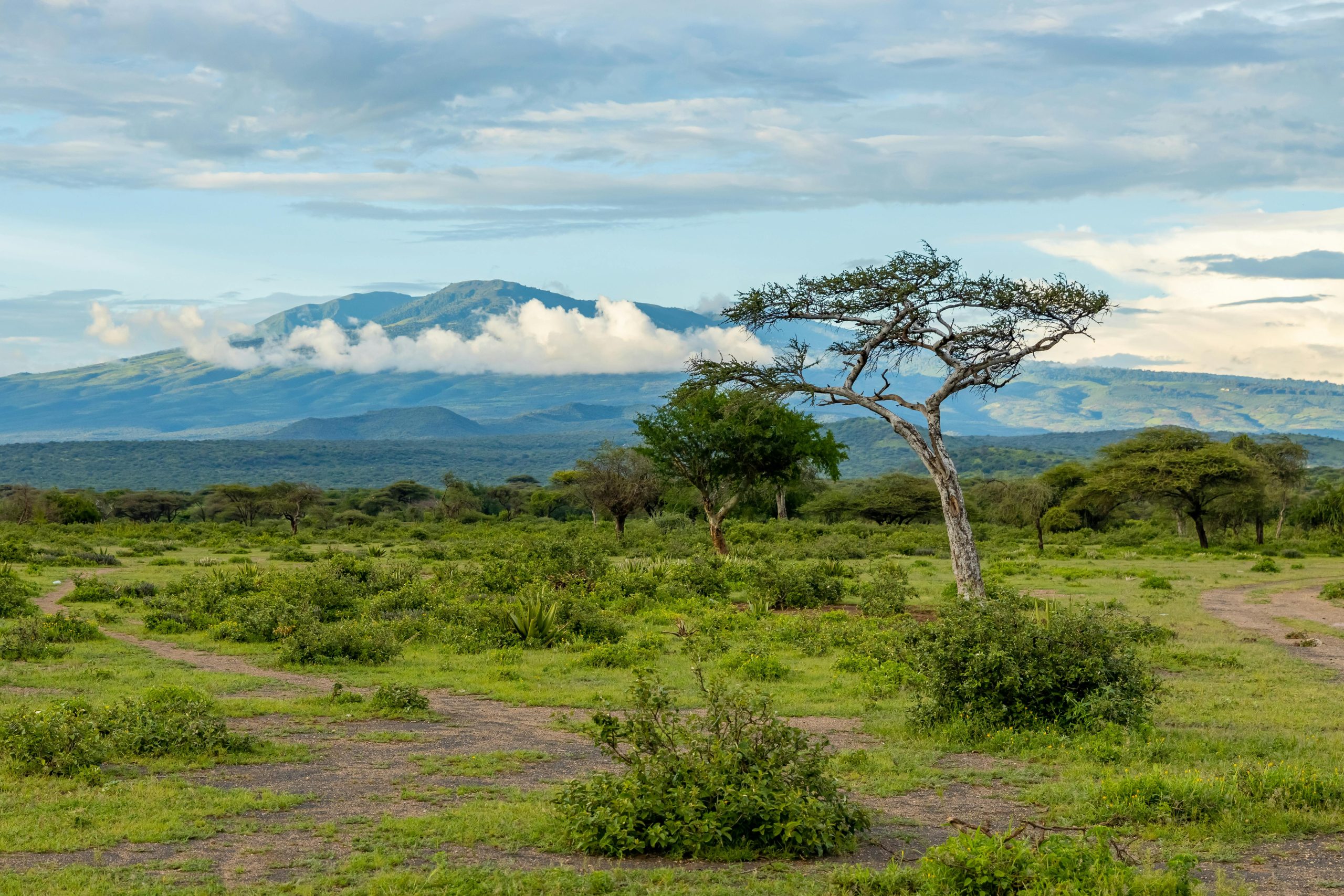 Aktive Safaris | Kenya safaris, East Africa Tour Operators, Mombasa Safaris, Nairobi Safaris