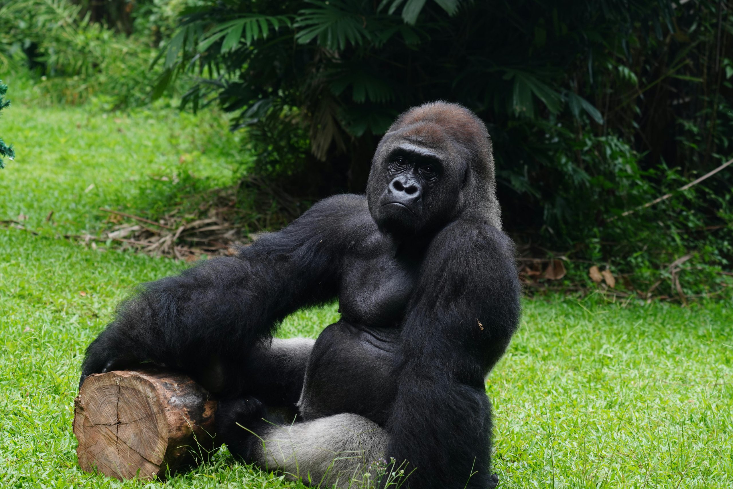 Aktive Safaris | Kenya safaris, East Africa Tour Operators, Mombasa Safaris, Nairobi Safaris