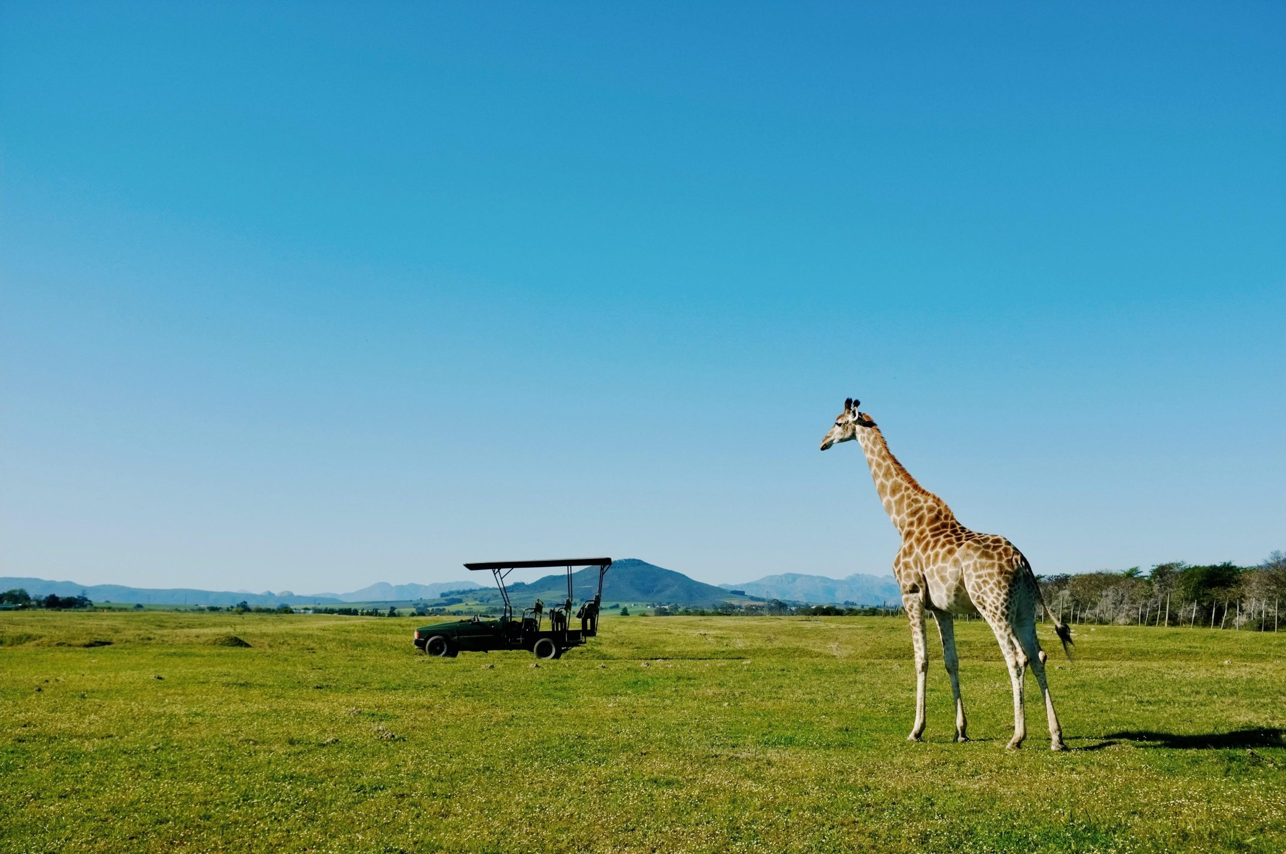 Aktive Safaris | Kenya safaris, East Africa Tour Operators, Mombasa Safaris, Nairobi Safaris