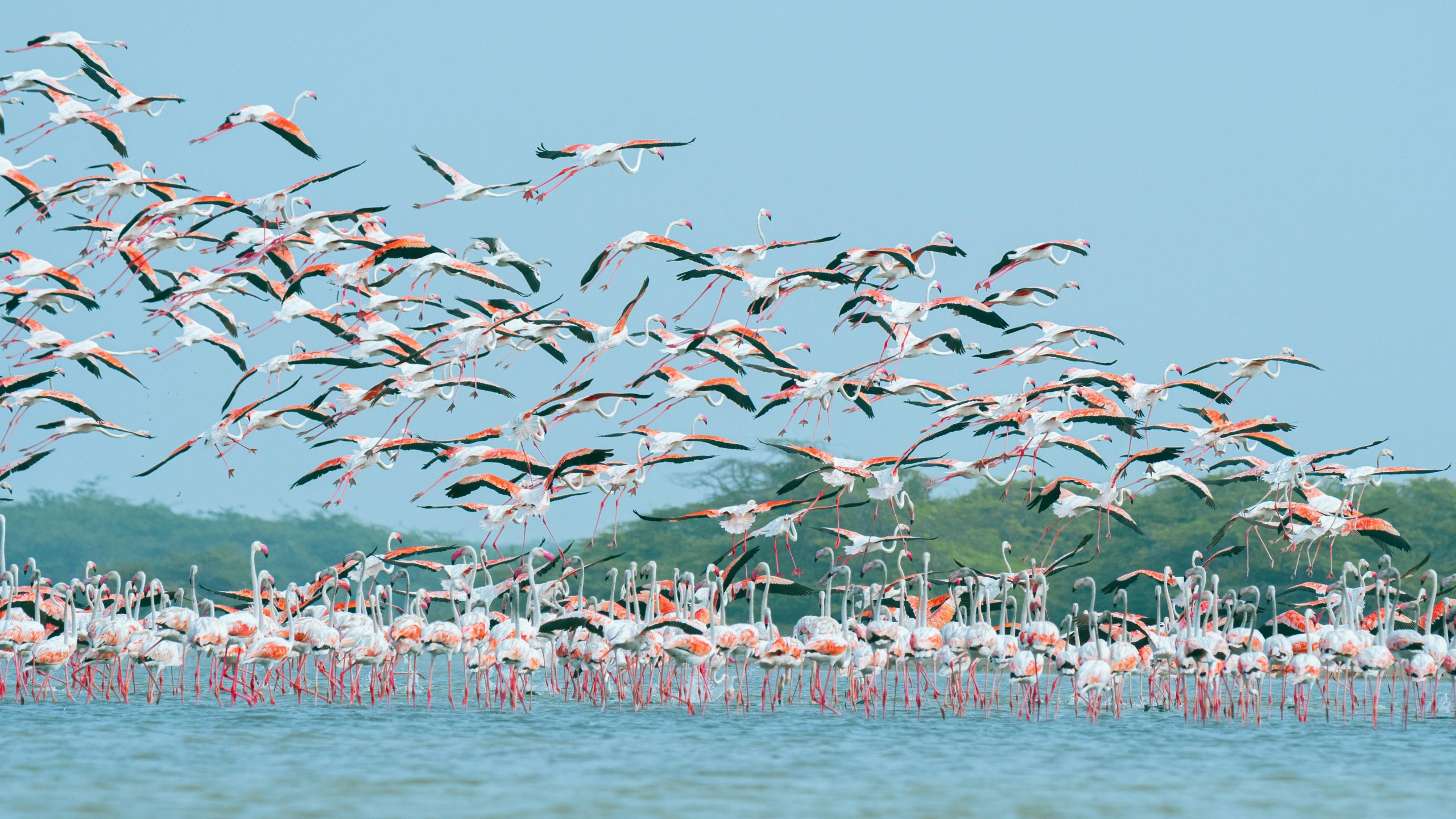 Aktive Safaris | Kenya safaris, East Africa Tour Operators, Mombasa Safaris, Nairobi Safaris