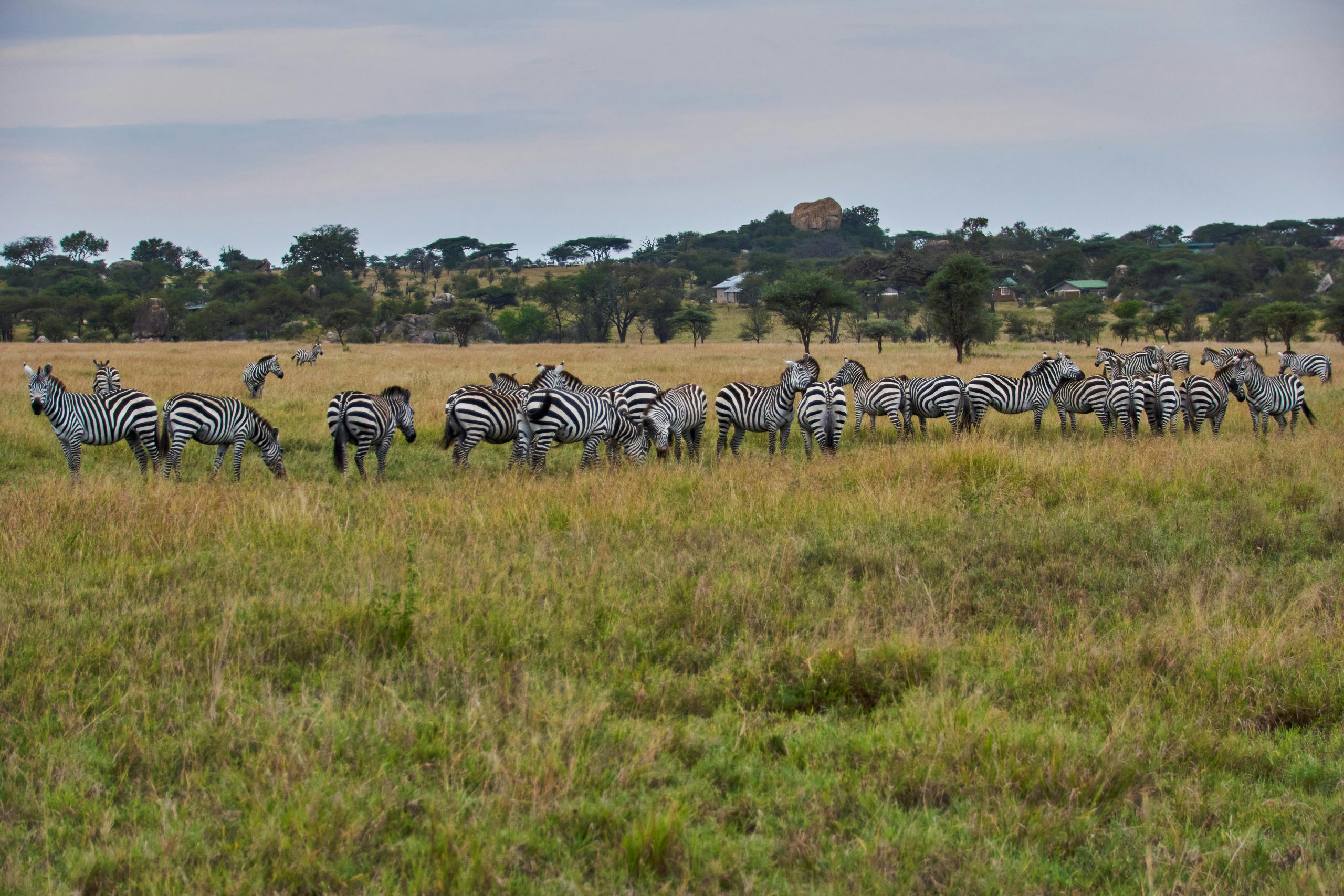 Aktive Safaris | Kenya safaris, East Africa Tour Operators, Mombasa Safaris, Nairobi Safaris