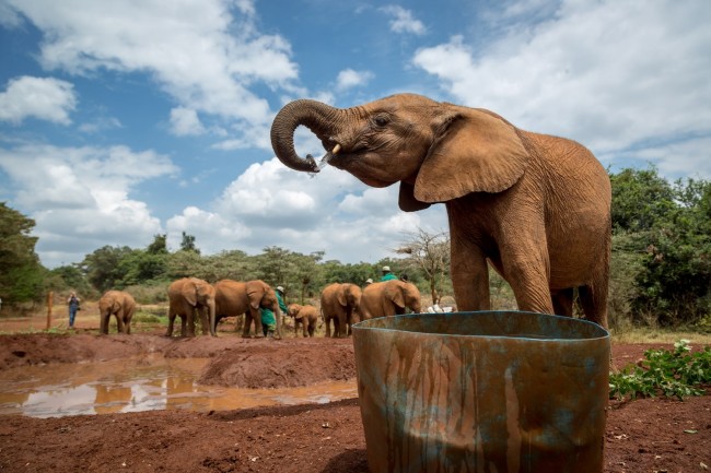Aktive Safaris | Kenya safaris, East Africa Tour Operators, Mombasa Safaris, Nairobi Safaris