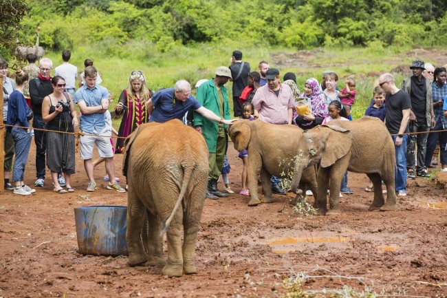 Aktive Safaris | Kenya safaris, East Africa Tour Operators, Mombasa Safaris, Nairobi Safaris