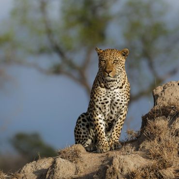 tanzania-adventure