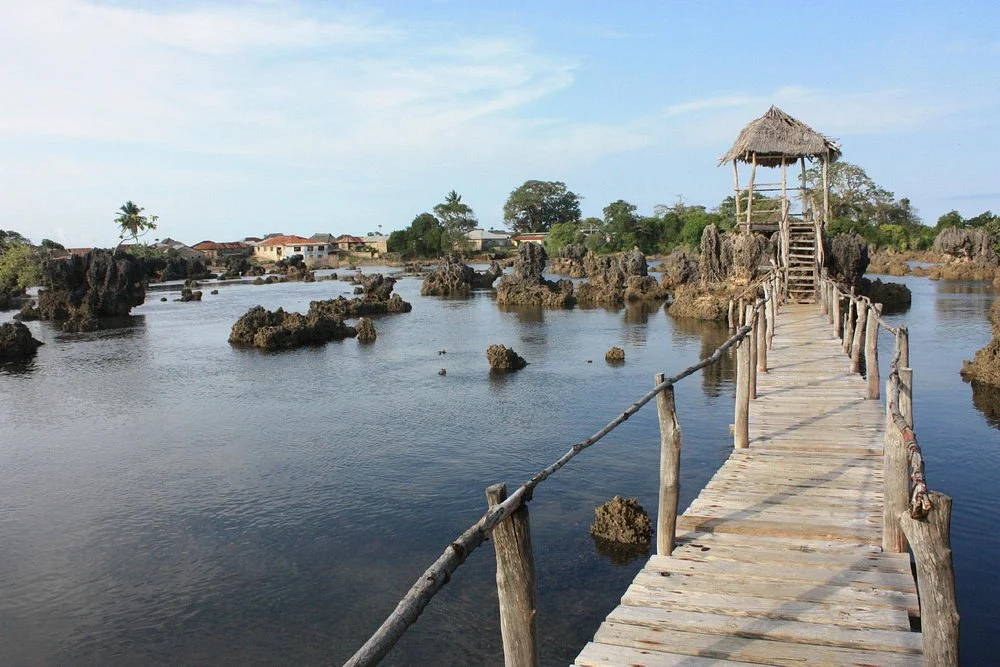 Aktive Safaris | Kenya safaris, East Africa Tour Operators, Mombasa Safaris, Nairobi Safaris