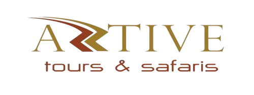 Aktive Safaris | Kenya safaris, East Africa Tour Operators, Mombasa Safaris, Nairobi Safaris